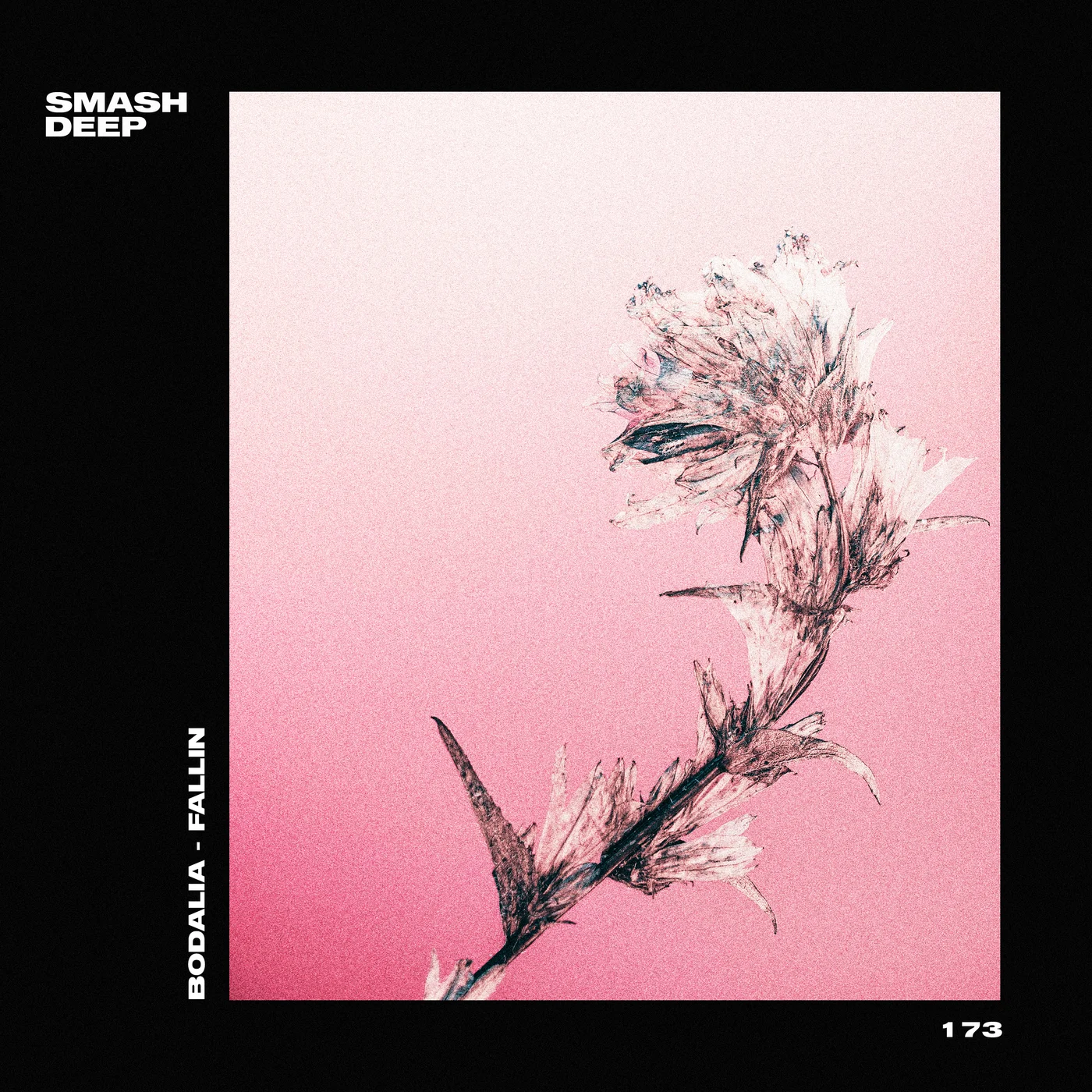 BODALIA PRESCRIBES A DOSE OF DEEP HOUSE GROOVES IN NEW SINGLE ‘FALLIN’